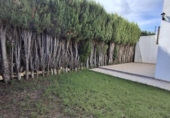 Xalet independent amb terreny en venda a la España, Castelló de la Plana, ref.: TR133537 foto