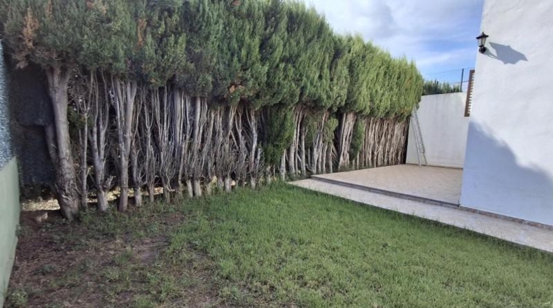 Castellón - Castellón de la Plana - 1080m2