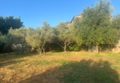 Xalet independent amb terreny en venda a la España, Vacarisses, ref.: TR314616 foto