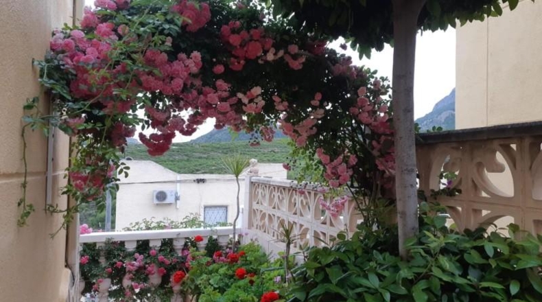 Alicante - La Nucía - 96m2