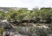 Land suitable for development for sale on España, Orihuela, ref: TR113182 photo