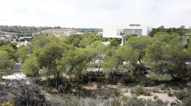 Alicante - Orihuela - 1258m2