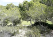 Land suitable for development for sale on España, Orihuela, ref: TR113182 photo