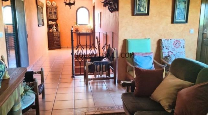 Alicante - Orihuela - 2640m2