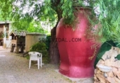 Detached villa with land for sale on España, Orihuela, ref: TR140942 photo