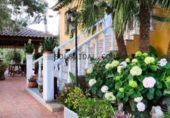 Detached villa with land for sale on España, Orihuela, ref: TR140942 photo