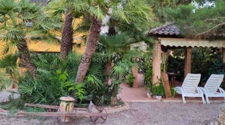 Alicante - Orihuela - 2640m2