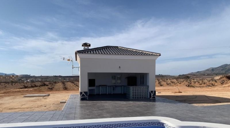 Alicante - Pinoso - 10000m2