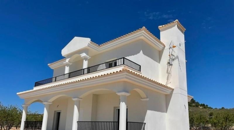 Alicante - Pinoso - 10000m2