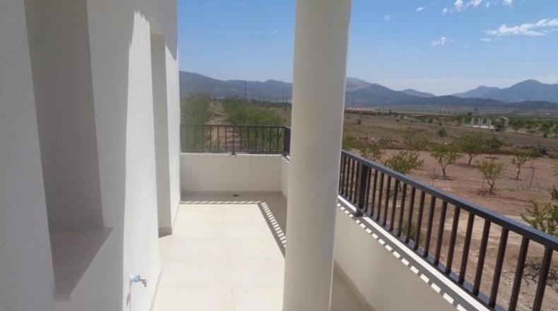 Alicante - Pinoso - 10000m2