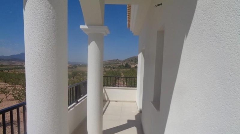 Alicante - Pinoso - 10000m2