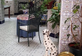 Foto 6