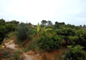 Xalet independent amb terreny en venda a la España, la Vila Joiosa, ref.: TR179488 foto