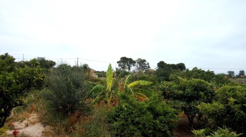 Alicante - Villajoyosa - 6500m2