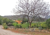 Xalet independent amb terreny en venda a la España, la Vila Joiosa, ref.: TR179488 foto