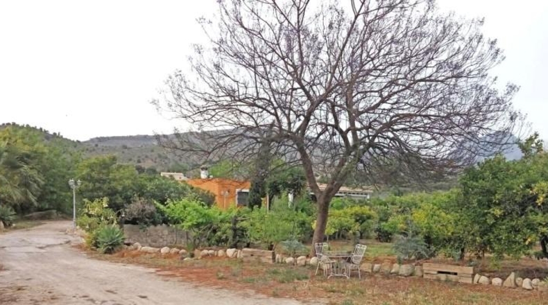 Alicante - Villajoyosa - 6500m2