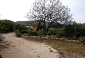 Foto 9