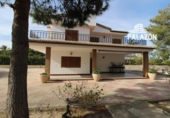 Xalet independent amb terreny en venda a la España, Crevillent, ref.: TR133197 foto