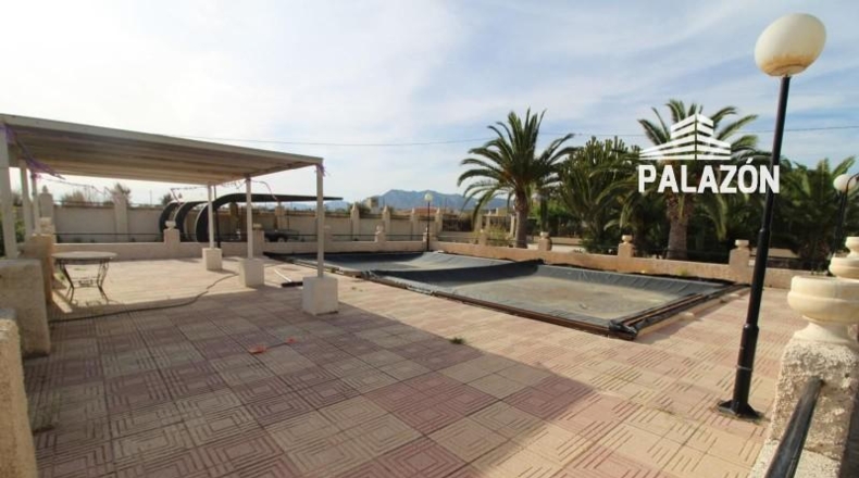 Alicante - Crevillente - 2500m2
