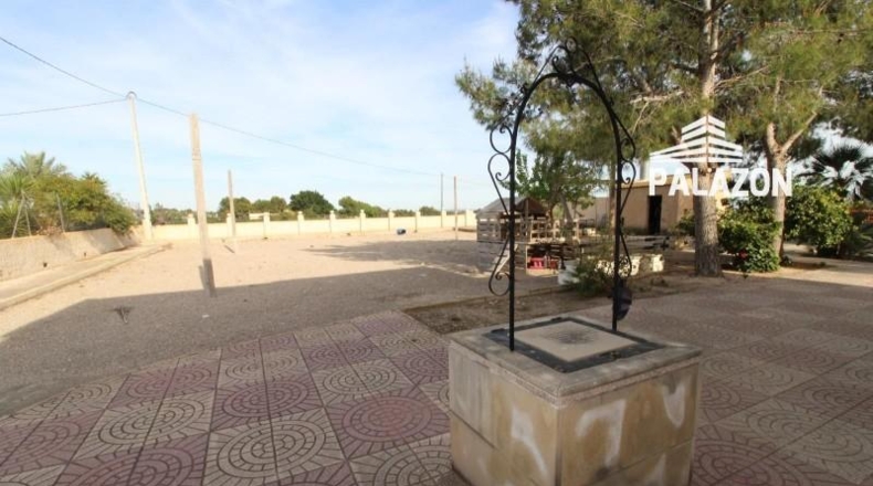 Alicante - Crevillente - 2500m2