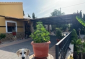 Xalet independent amb terreny en venda a la España, Fortuna, ref.: TR262070 foto