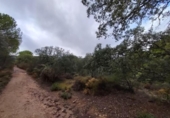 Parcel·la urbanitzable en venda a la España, Còrdova, ref.: TR124916 foto