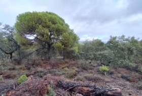 Còrdova 83944&nbsp;m² 