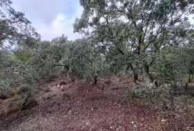 Còrdova 83944&nbsp;m² 