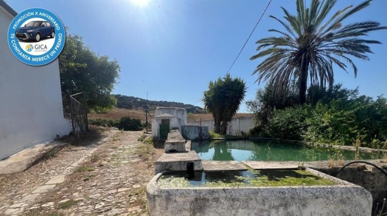 Cádiz - Prado del Rey - 35772m2