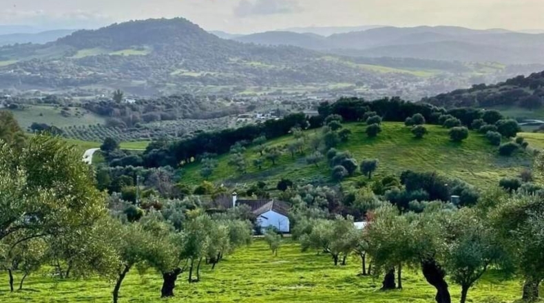 Cádiz - Prado del Rey - 35772m2