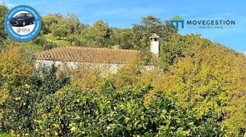 Cádiz - Prado del Rey - 35772m2