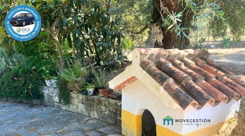 Cádiz - Prado del Rey - 35772m2