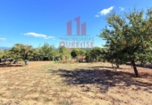 Finca rústica en venta en la España, Barbadás, ref: TR336833 foto