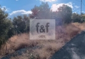 Non-developable land for sale on España, Malpartida de Plasencia, ref: TR344393 photo