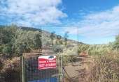 Non-developable land for sale on España, Malpartida de Plasencia, ref: TR344393 photo