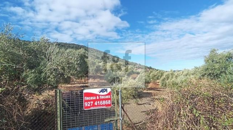 Palència - Palencia - 33200m2