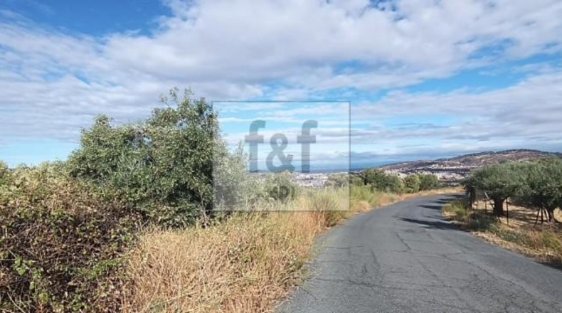 Palència - Palencia - 33200m2