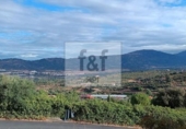 Non-developable land for sale on España, Malpartida de Plasencia, ref: TR344393 photo