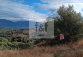 Non-developable land for sale on España, Malpartida de Plasencia, ref: TR344393 photo