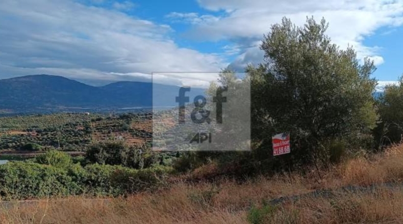 Palència - Palencia - 33200m2