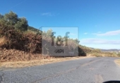 Non-developable land for sale on España, Malpartida de Plasencia, ref: TR344393 photo