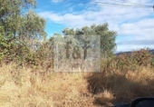 Non-developable land for sale on España, Malpartida de Plasencia, ref: TR344393 photo