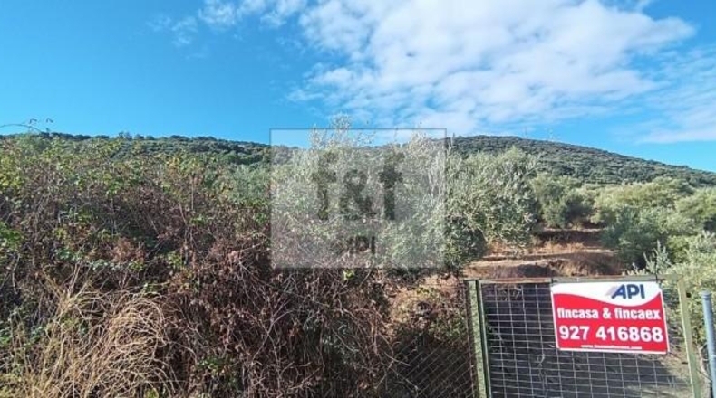 Palència - Palencia - 33200m2