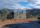 Non-developable land for sale on España, Malpartida de Plasencia, ref: TR344393 photo
