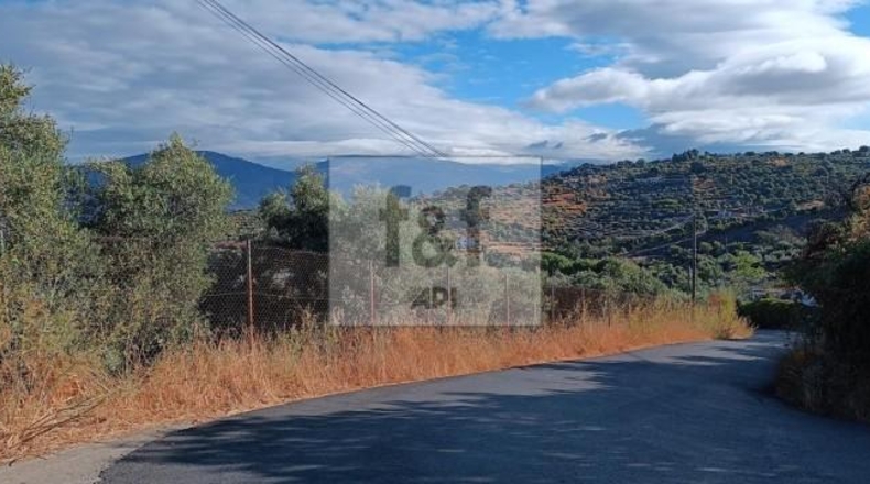 Palència - Palencia - 33200m2