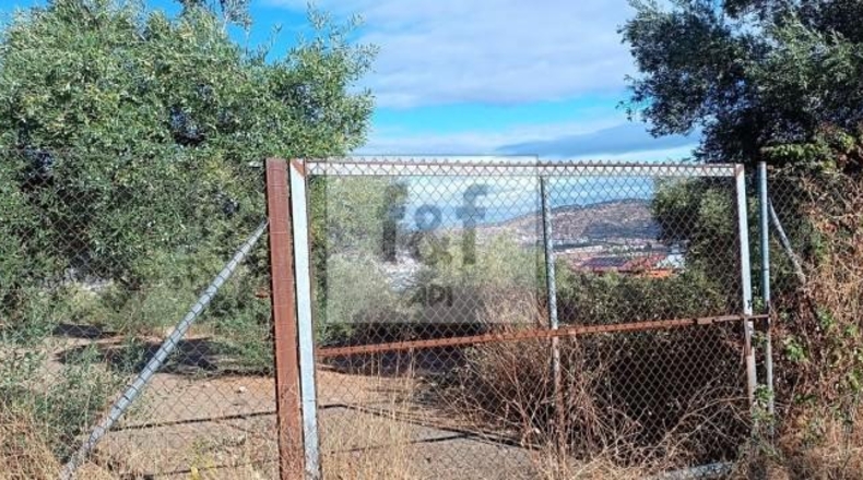 Palència - Palencia - 33200m2