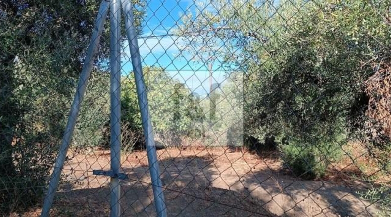 Palència - Palencia - 33200m2