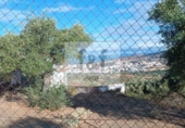 Non-developable land for sale on España, Malpartida de Plasencia, ref: TR344393 photo