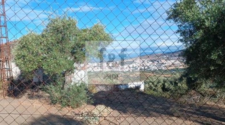 Palència - Palencia - 33200m2