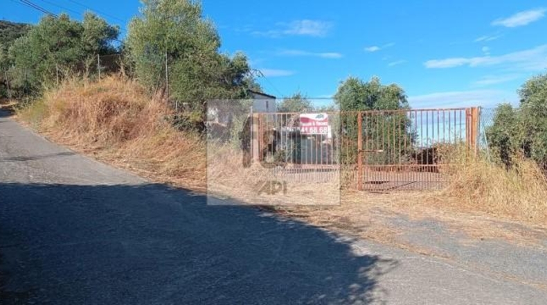 Palència - Palencia - 33200m2